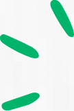 Three green lines for text emphasis